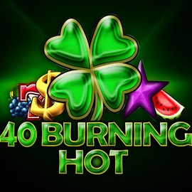 Official Slots logo: 40 Burning Hot by Amusnet Interactive at LiraSpin Casino